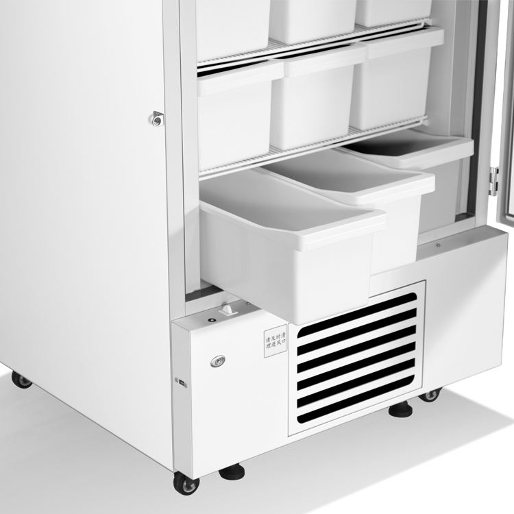 -40 Degree Laboratory Refrigerator Medical Pectore Laboratory Altum Freezer
