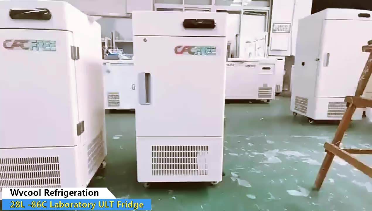 -86 Degree Mini Laboratory rectus Ultra humilis temperatus Freezer