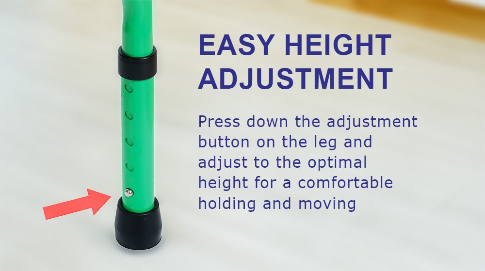 BME815 Walker Altitudo Copernicus Description 