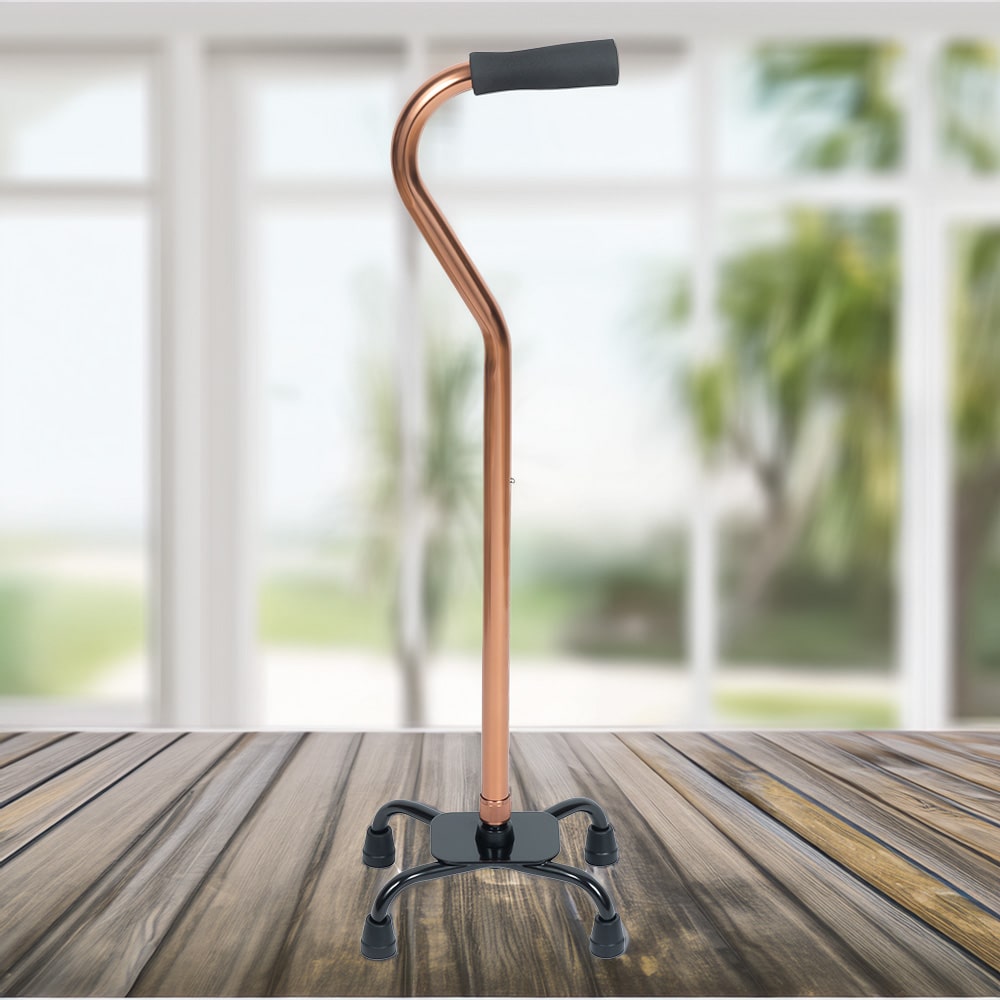 BME40012 Duo Cane Show I