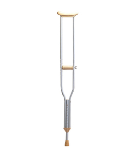 Portable innitatur in Populus