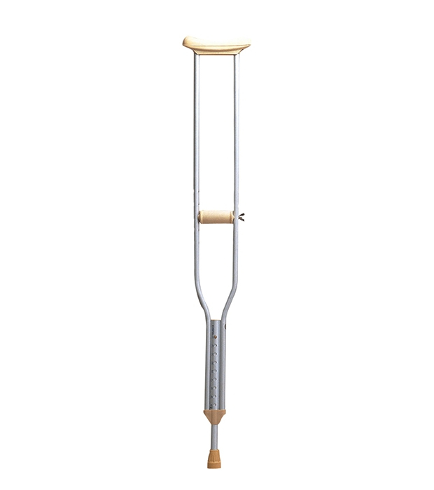 Portable innitatur in Populus